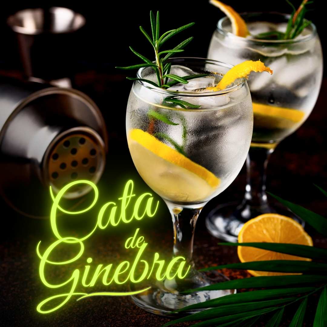 Actividades para despedidas en ZaragozaCata de gintonic